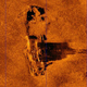 Image for article titled Wreck Of The S. S. Connaught Discovered Off The Coast Of Boston